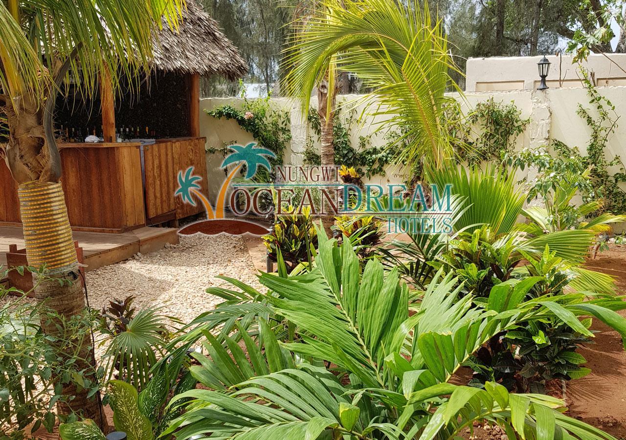 Ocean Dream Beachside Hotel Nungwi Εξωτερικό φωτογραφία